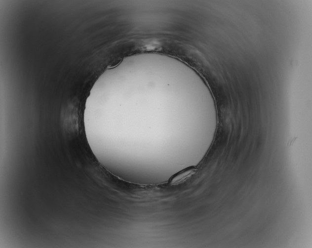 X0000091901442200709261649