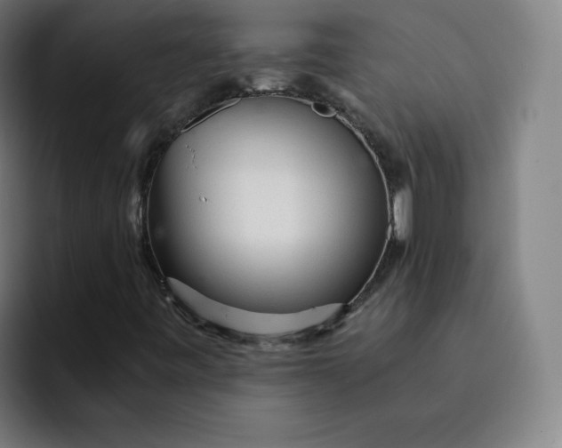 X0000091901443200709261649