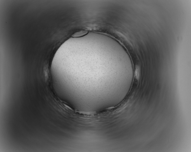 X0000091901444200709261649