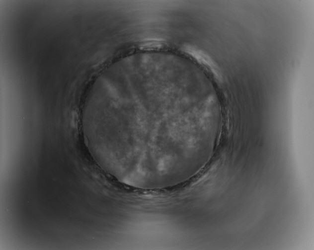 X0000091901445200709261649