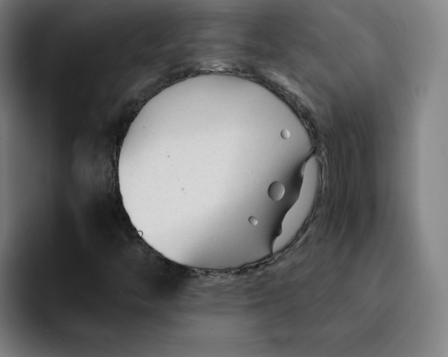 X0000091901446200709261649