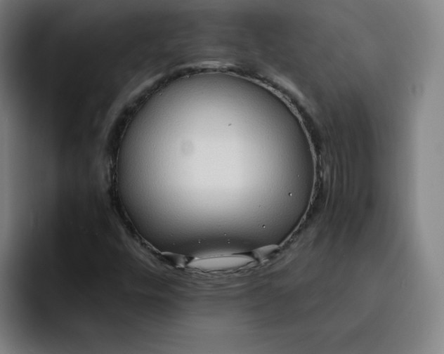 X0000091901448200709261649