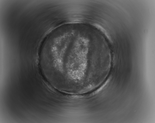 X0000091901449200709261649