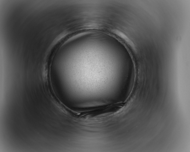 X0000091901450200709261649