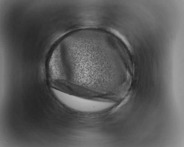 X0000091901453200709261649