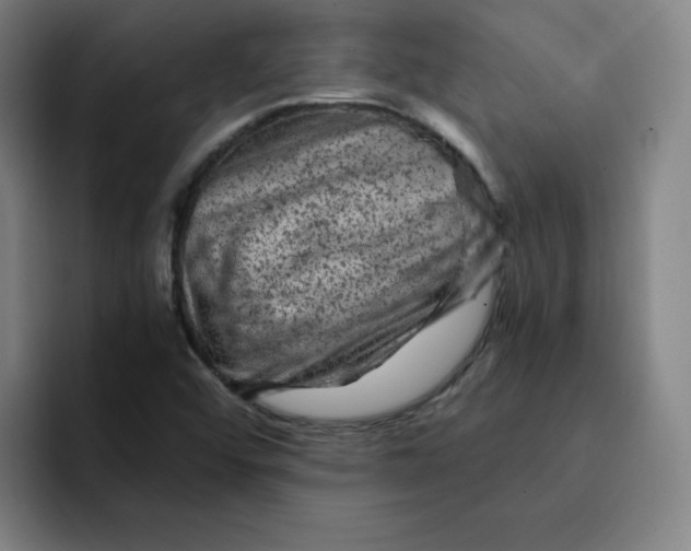 X0000091901456200709261649