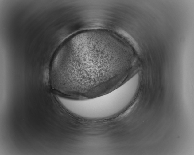 X0000091901457200709261649