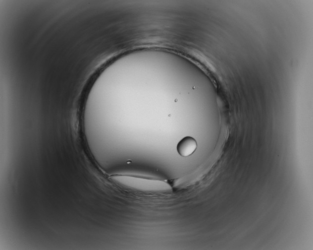 X0000091901458200709261649