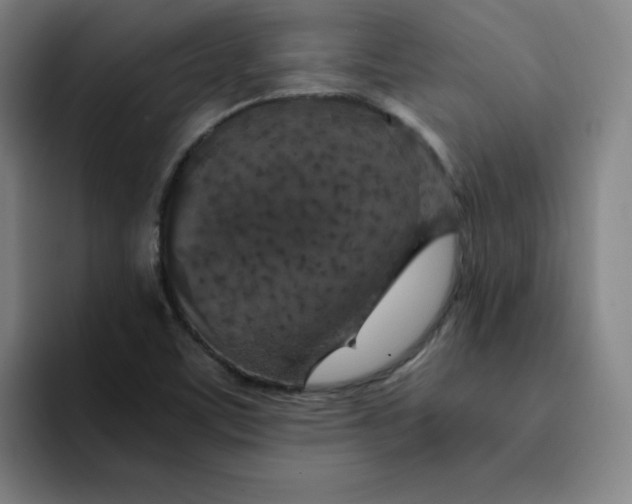 X0000091901459200709261649