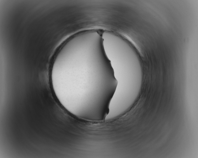 X0000091901460200709261649