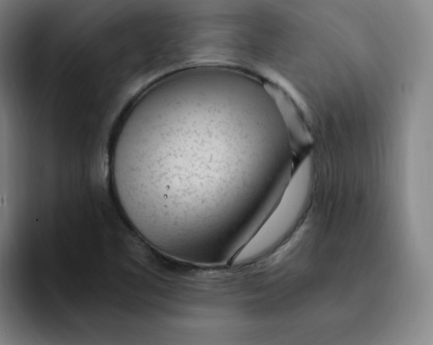 X0000091901461200709261649