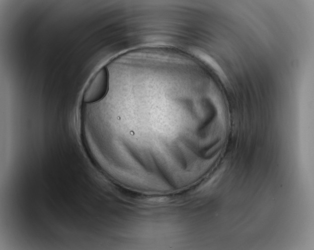 X0000091901467200709261649