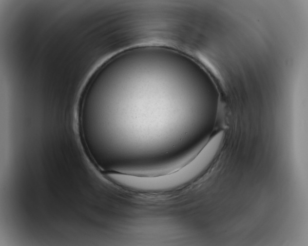 X0000091901468200709261649