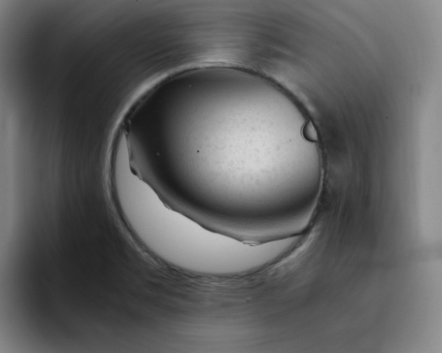 X0000091901469200709261649