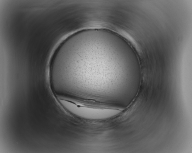 X0000091901472200709261649