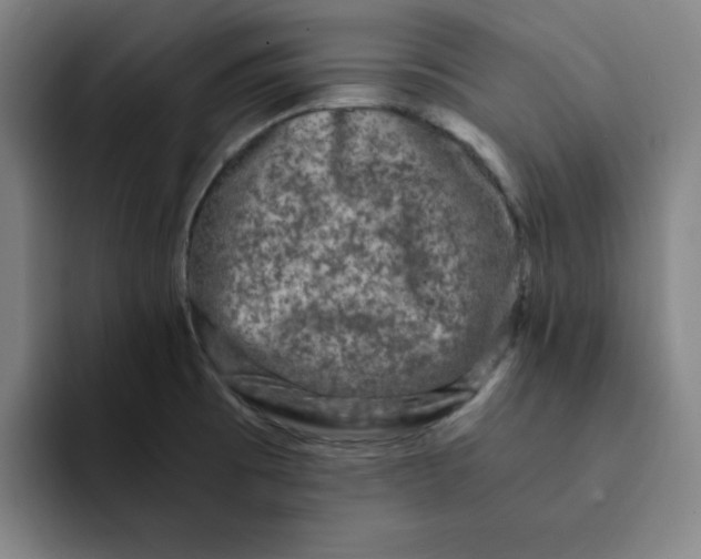 X0000091901473200709261649