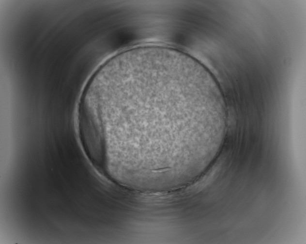 X0000091901474200709261649