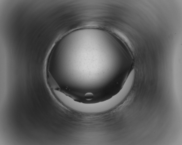 X0000091901475200709261649