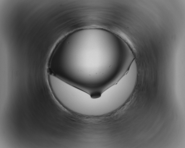 X0000091901476200709261649