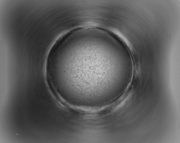 X0000091901477200709261649