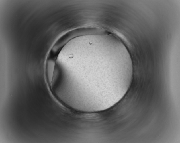 X0000091901479200709261649