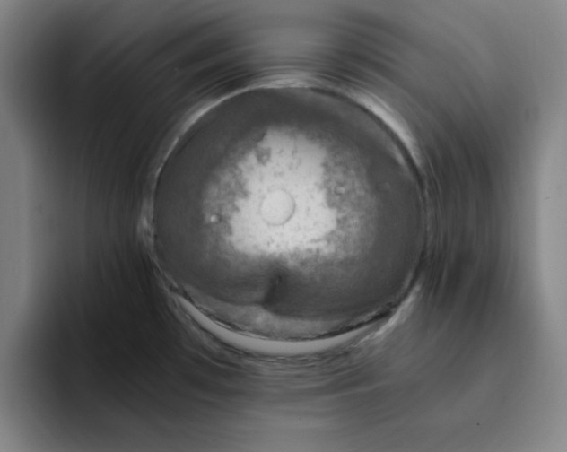 X0000091901481200709261649