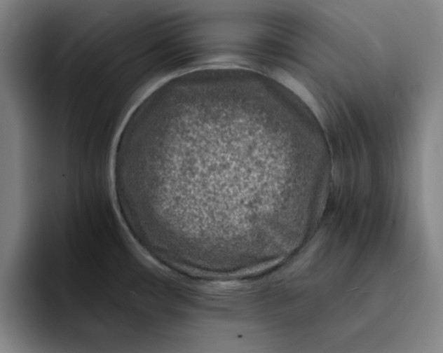 X0000091901482200709261649