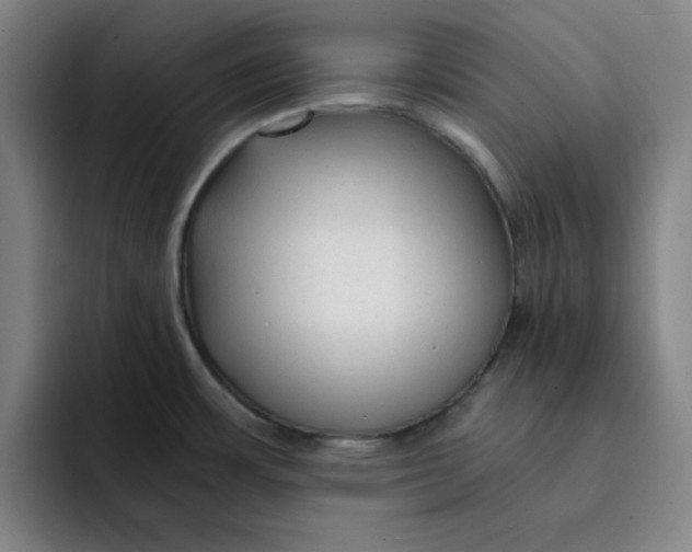 X0000091901483200709261649