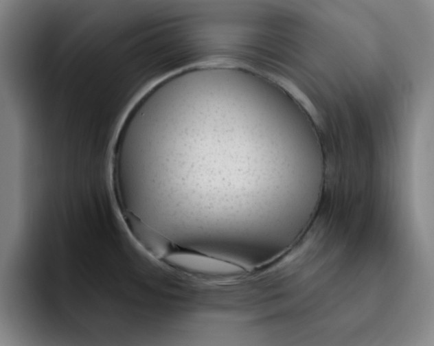 X0000091901484200709261649