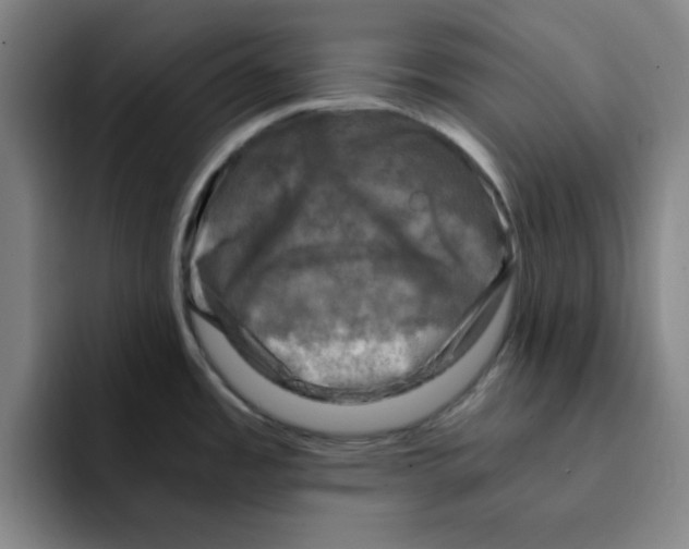 X0000091901485200709261649