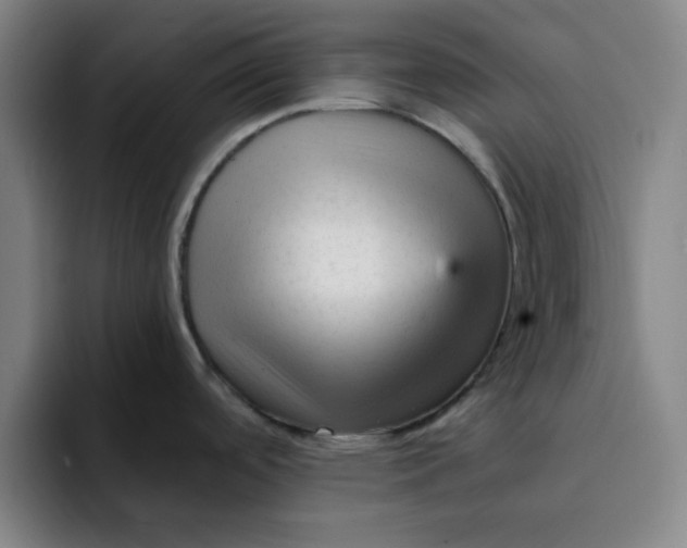 X0000091901488200709261649