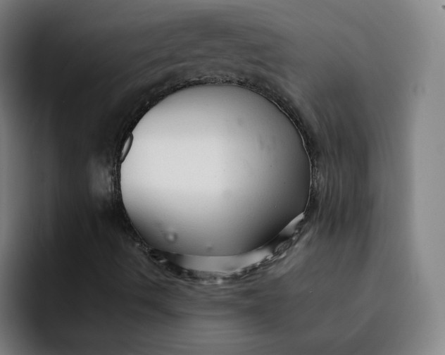 X0000091901490200709261648