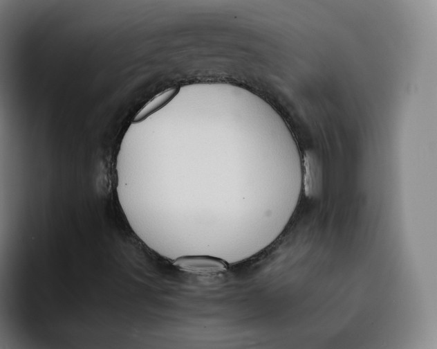 X0000091901491200709261648