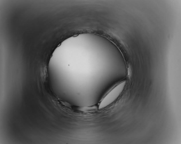 X0000091901492200709261648