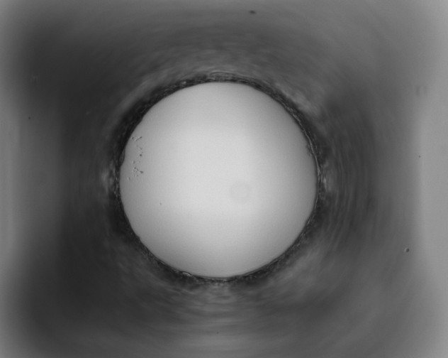 X0000091901495200709261648