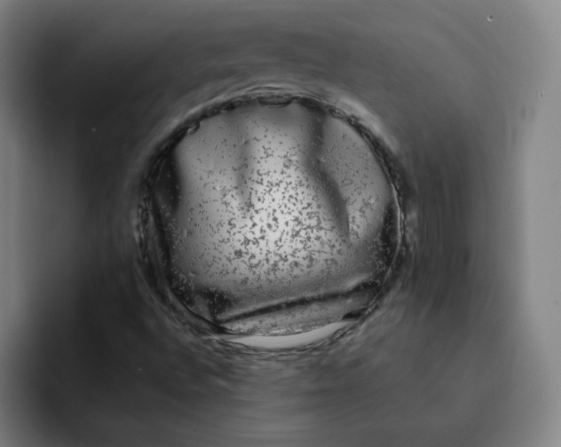 X0000091901496200709261648