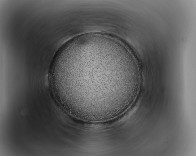 X0000091901497200709261648