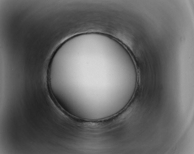 X0000091901500200709261648