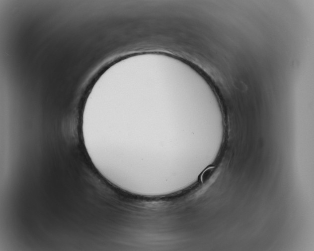 X0000091901502200709261648