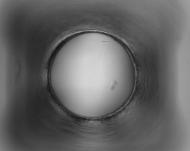 X0000091901503200709261648