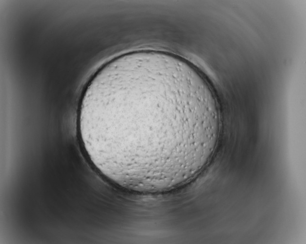 X0000091901504200709261648