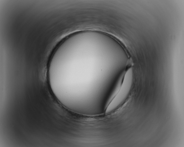 X0000091901507200709261648