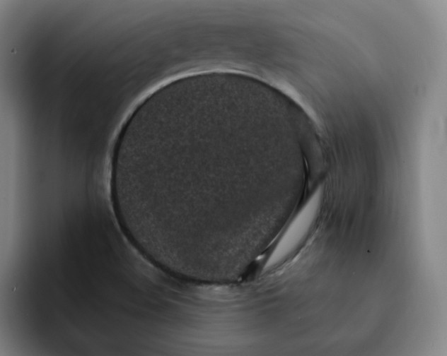 X0000091901508200709261648