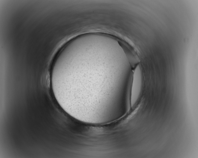 X0000091901509200709261648