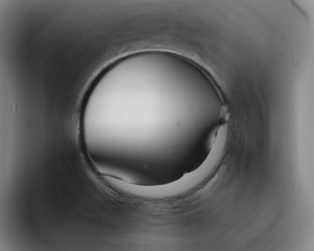 X0000091901511200709261648