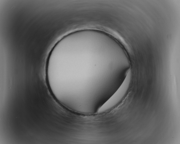 X0000091901512200709261648