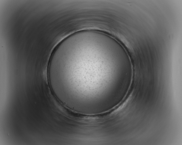 X0000091901513200709261648