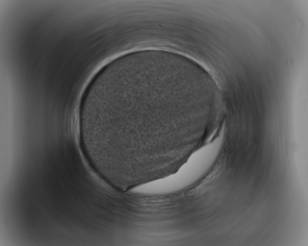 X0000091901515200709261648