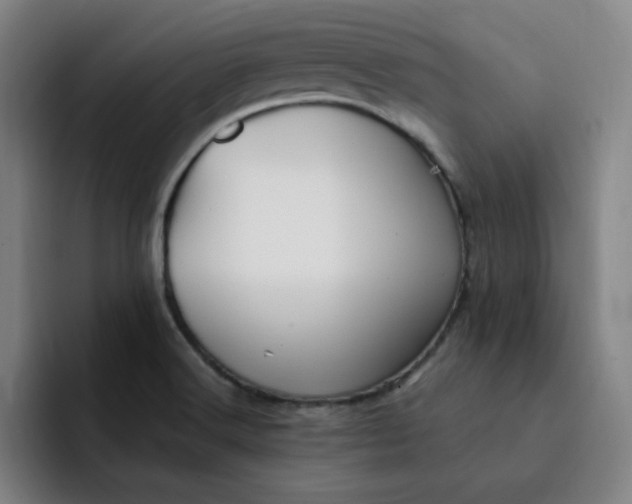 X0000091901516200709261648