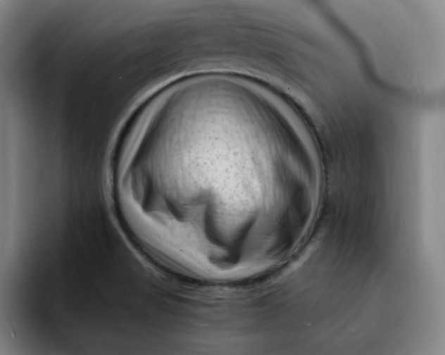 X0000091901517200709261648